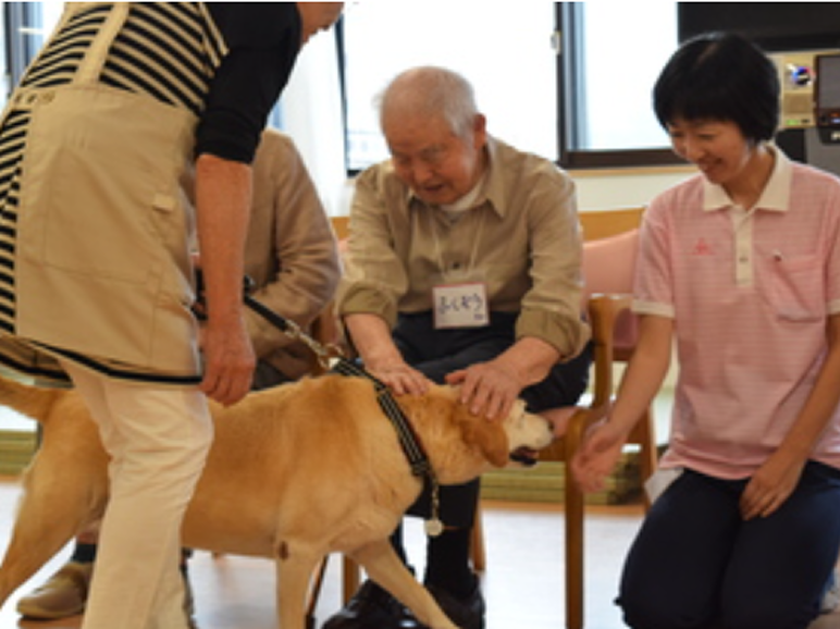 アニマルセラピー
