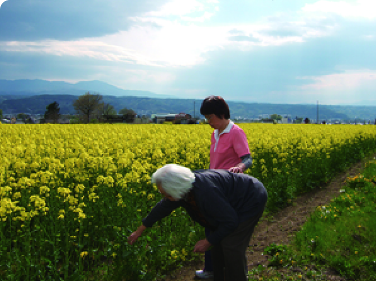 お出かけドライブ